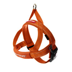EZYDOG Quick Fit Harness Orange Color 快套式胸背帶(橙色) XXS